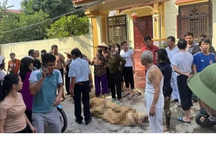 3 con gái mang xăng đốt nhà mẹ đẻ, 4 mẹ con bị thương