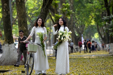 Hà Nội mùa lá rơi vàng phố