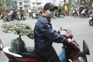 Phiên chợ Bưởi cuối cùng trong năm mang dấu ấn văn hóa Hà Nội xưa