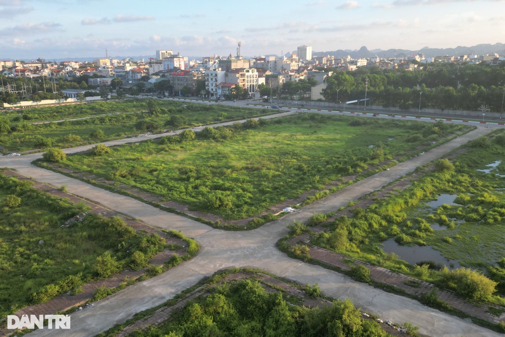24ha đất vàng giá trị cả nghìn tỷ đồng bỏ hoang chục năm ở Ninh Bình - 2 24ha đất vàng giá trị cả nghìn tỷ đồng bỏ hoang chục năm ở Ninh Bình - 2