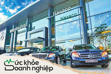 Giảm 50% phí trước bạ ô tô, "trùm" phân phối xe sang lãi cả trăm tỷ đồng