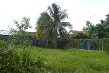 Một hộ chăn nuôi, cả xóm “lãnh đủ”