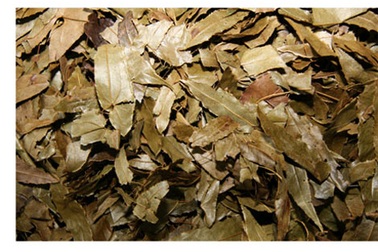 Bi hài… dâm dương hoắc