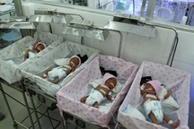 Cảnh đói khát chực chờ 4 bé gái sinh non