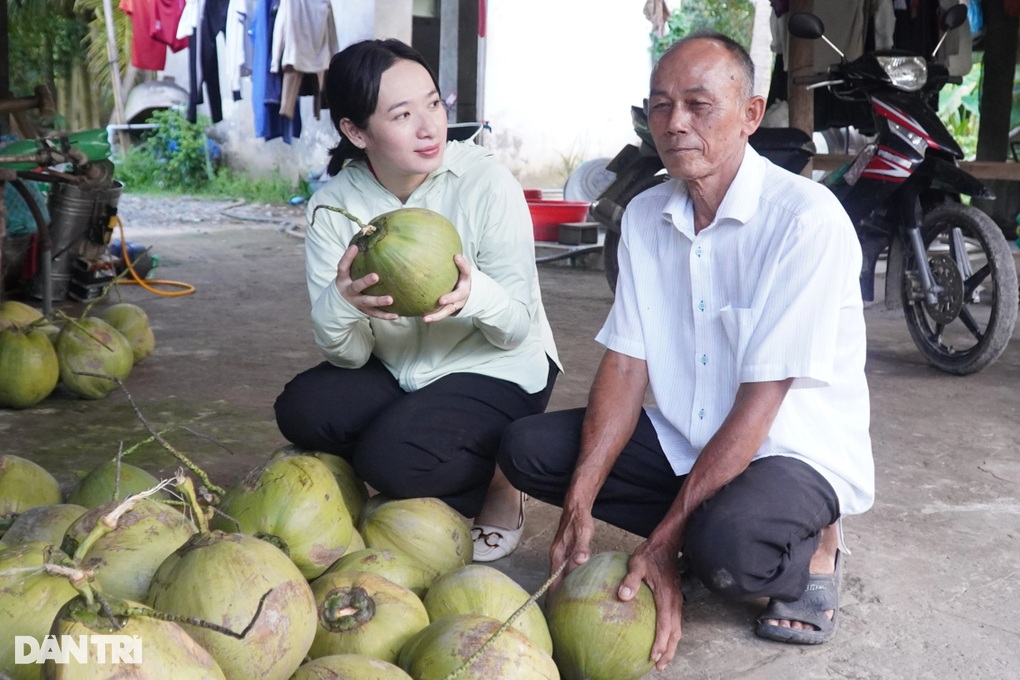 35 năm trước liều trồng loại dừa bỏ đi, nay lão nông đủ tiền mua 6ha đất - 3