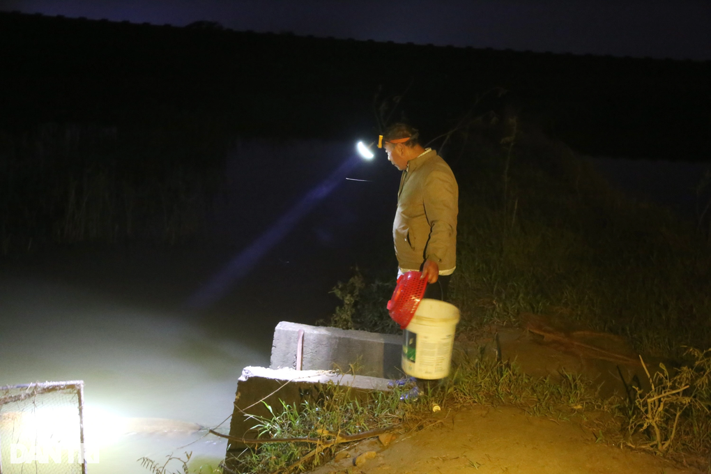 Loài đặc sản ùn ùn từ đất lên, dân vớt bán kiếm chục triệu mỗi đêm - 1 Loài đặc sản ùn ùn từ đất lên, dân vớt bán kiếm chục triệu mỗi đêm - 1