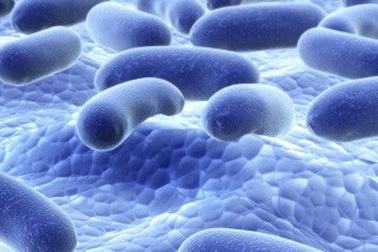 TS BS Phan Bích Nga: "Rối loạn tiêu hóa không điều trị dứt điểm sẽ khiến trẻ suy dinh dưỡng thể thấp còi"