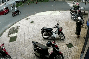 Nữ nhân viên môi trường bị tát vào mặt khi tỉa cây trên phố