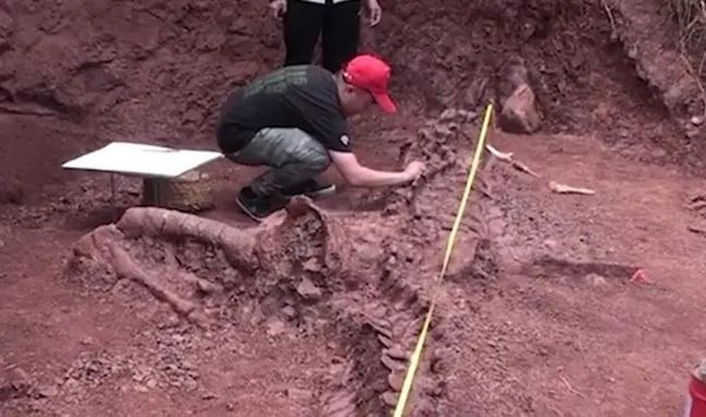 Hóa thạch khủng long khổng lồ, được coi là báu vật quốc gia ở Trung Quốc - 1 Hóa thạch khủng long khổng lồ, được coi là báu vật quốc gia ở Trung Quốc - 1