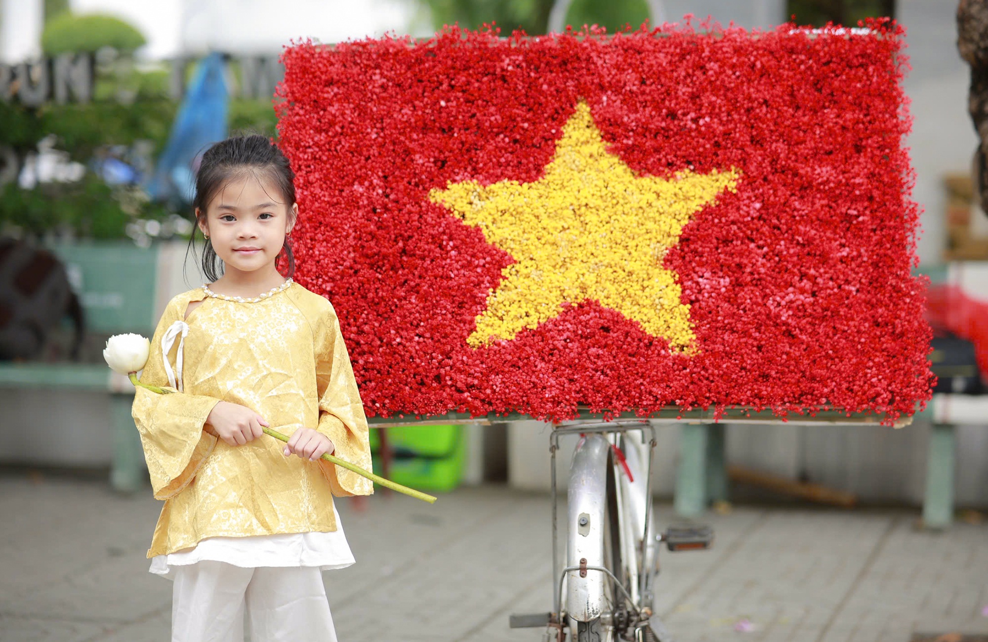 នារីទីក្រុង Vinh បង្អួតសម្រស់នារដូវស្លឹកឈើជ្រុះលើវិថីស្អាតបំផុតក្នុងទីក្រុង - ៣ Thiếu nữ thành Vinh khoe sắc trong nắng thu ở con đường đẹp nhất thành phố - 3