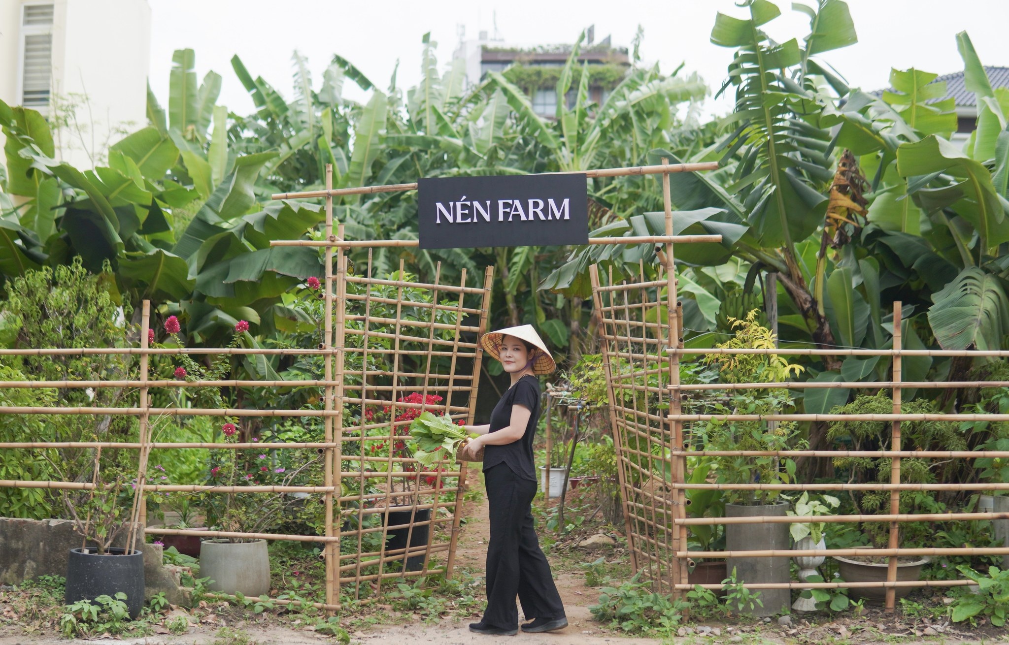 Nén Danang có khu vực trồng trọt riêng để cung cấp nguồn nguyên liệu (Ảnh: Fanpage Nén Danang).