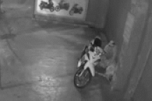 Nằm ngủ trước cửa nhà, nam thanh niên bị trộm xe máy lẫn điện thoại