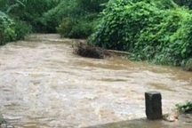 Học sinh lớp 3 bị lũ cuốn trôi trên đường đi học