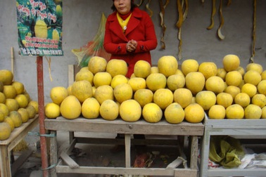 Cam Canh, bưởi Diễn: Chợ ê hề, vào vườn không mua được 