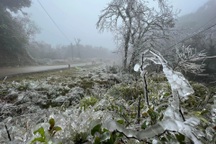 Lạnh -5 độ C, đỉnh Phja Oắc phủ kín băng giá