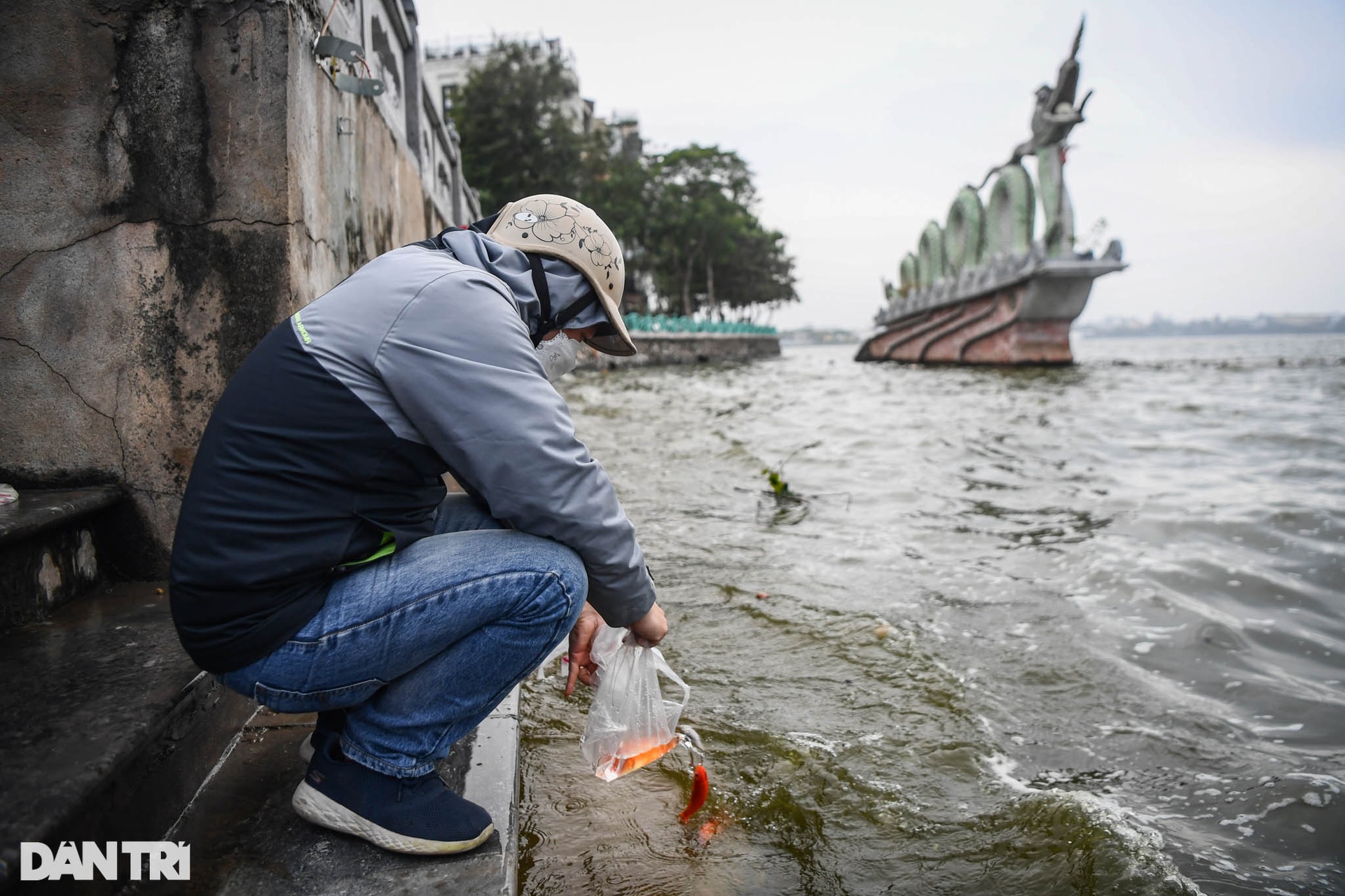 Hà Nội: Ngựa của ông Táo chưa kịp về trời đã ngửa bụng sau khi xuống nước - 9