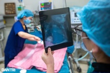 Toàn cảnh các dịch bệnh đang hoành hành tại Hà Nội