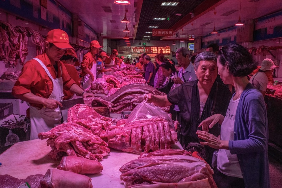 Trung Quốc lao đao vì “cơn bão” dịch tả lợn - 1 Trung Quốc lao đao vì “cơn bão” dịch tả lợn - 1