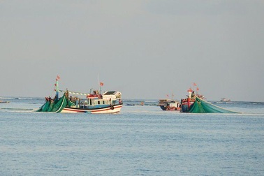Xử lý nghiêm các tàu cá khai thác hải sản bất hợp pháp