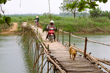 Cây cầu độc nhất ở Quảng Nam được dân làng góp tre, công xây dựng