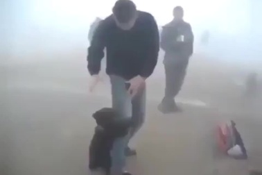 Gấu con không muốn rời xa người đã giải cứu mình khỏi đám cháy