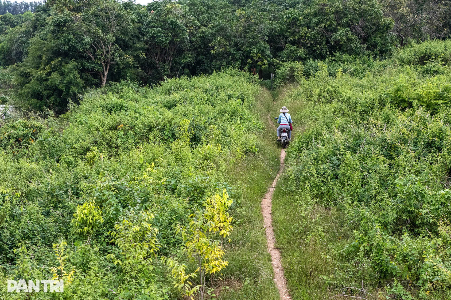 Cô giáo của những đứa trẻ “ba không” giữa lòng hồ Trị An - 16