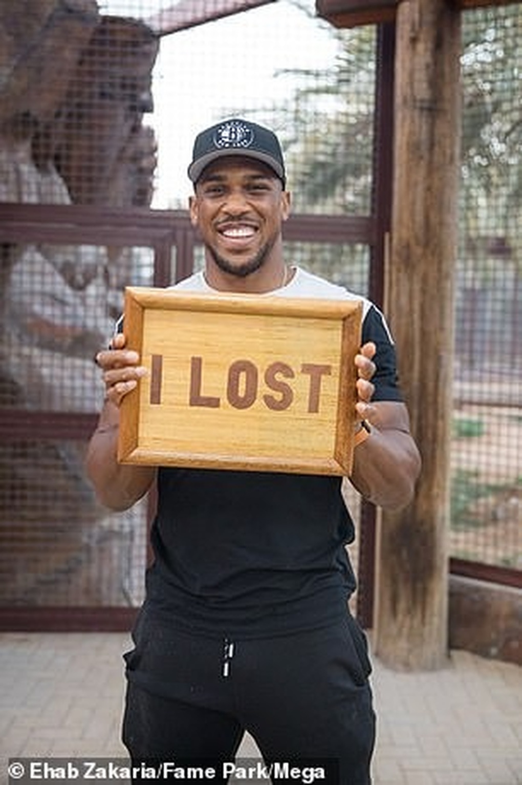 Võ sĩ hạng nặng Anthony Joshua đọ sức với sư tử - 3 Võ sĩ hạng nặng Anthony Joshua đọ sức với sư tử - 3