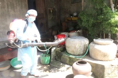 Quảng Ngãi: Dịch sốt xuất huyết bùng phát gấp 8 lần