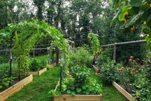 Người phụ nữ Mỹ mê sưu tầm hạt giống, trồng trăm loại nông sản sạch