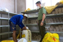 Phát hiện hơn 6.500 kg chả đòn chay sử dụng hàn the