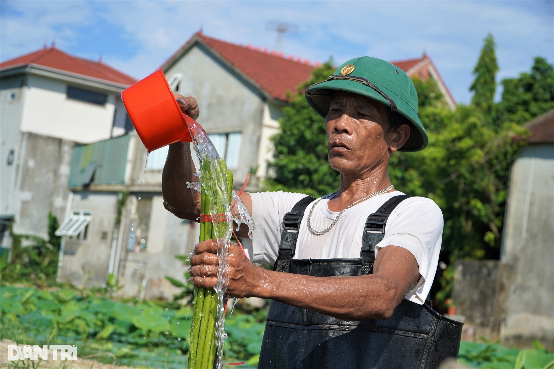 Đặc sản màu trắng sữa, sờ mát lạnh giúp bác nông dân có thu nhập cao - 8