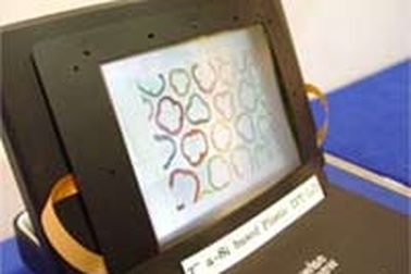 Màn hình dẻo LCD lớn nhất thế giới