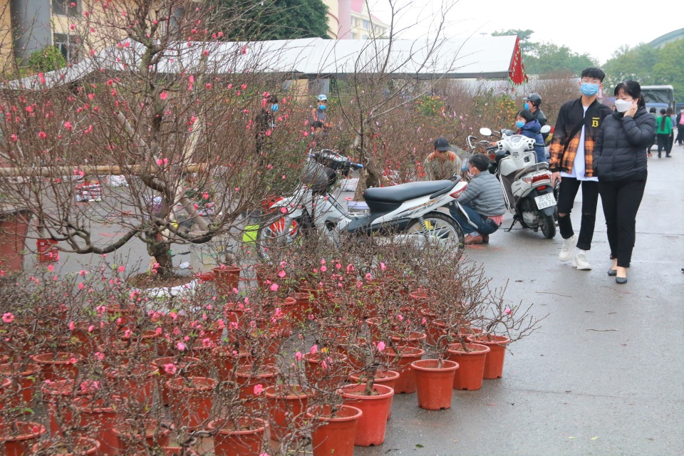 Người dân nô nức rước nàng xuân về nhà khi dịch Covid-19 được khống chế - 9 Người dân nô nức rước nàng xuân về nhà khi dịch Covid-19 được khống chế - 9