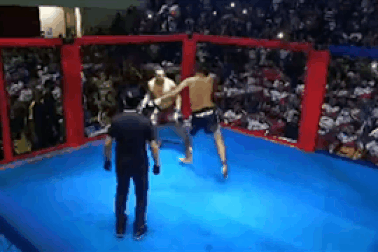 Chính trị gia Brazil so găng trên võ đài để giải quyết mâu thuẫn