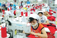 Việt Nam: Phụ nữ điều hành doanh nghiệp chiếm hơn 20%