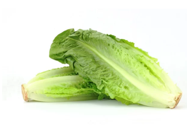 Mối nguy hiểm khi ăn rau diếp