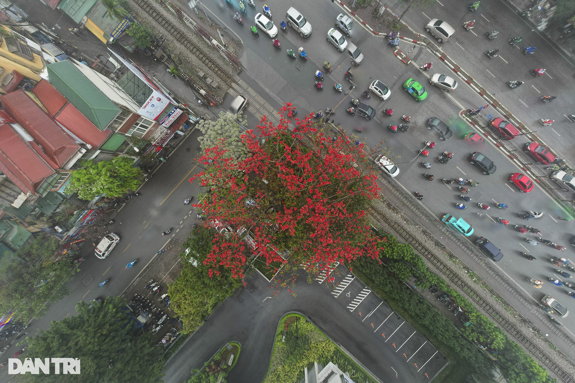 Hà Nội mùa hoa gạo nở trong sương mờ trắng - 2 Hà Nội mùa hoa gạo nở trong sương mờ trắng - 2