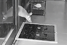 Chuột tinh ranh và khéo léo tránh bẫy để lẻn vào nhà kiếm thức ăn