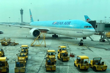 Bị cả đàn chim bủa vây, máy bay không thể cất cánh rời Tân Sơn Nhất