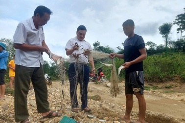 Ấm no nhờ mô hình bảo tồn cá mát Nặm Cướm