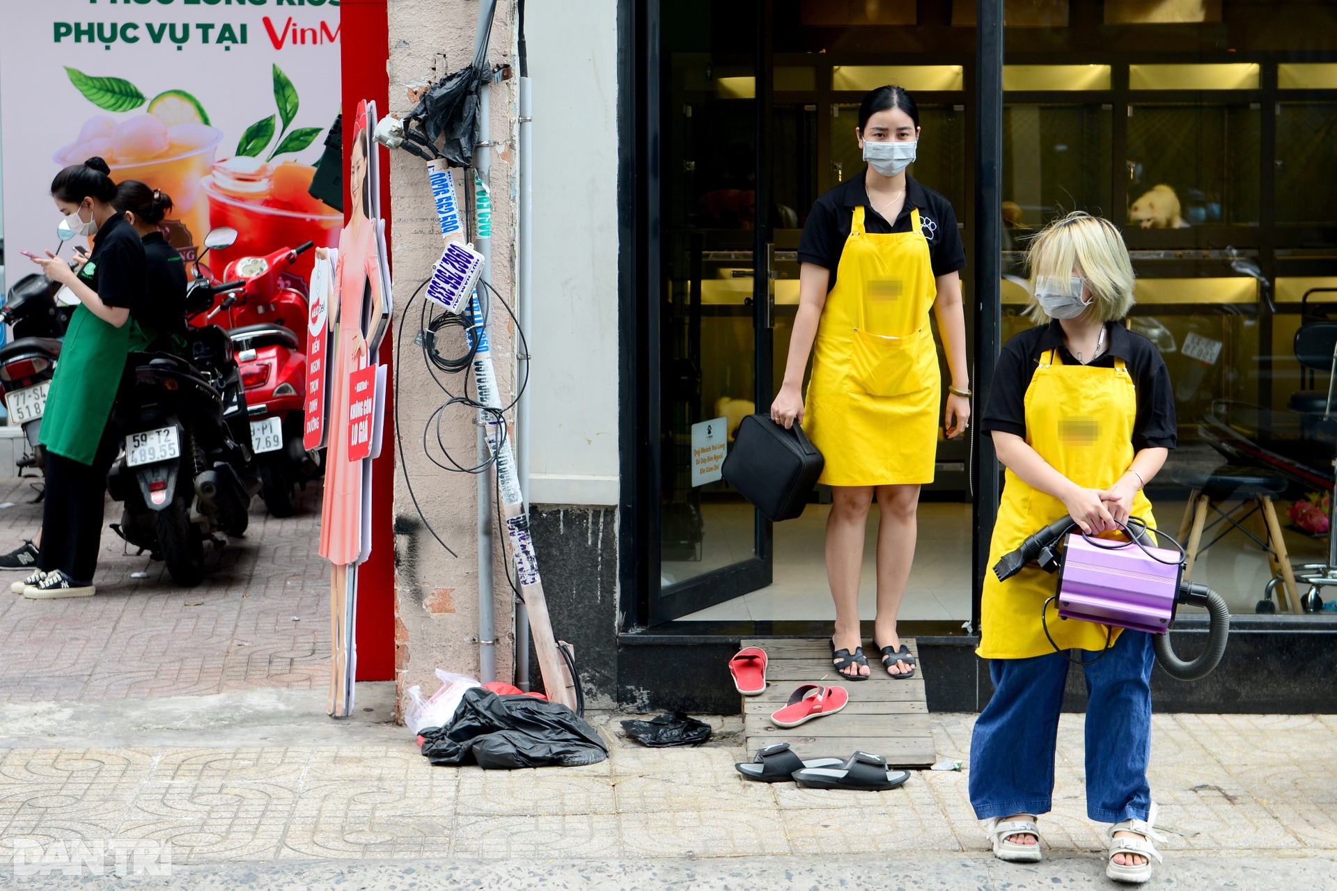 Đắt khách dịch vụ làm đẹp cho thú cưng tại nhà ở TPHCM mùa Covid-19 - 7 Đắt khách dịch vụ làm đẹp cho thú cưng tại nhà ở TPHCM mùa Covid-19 - 7