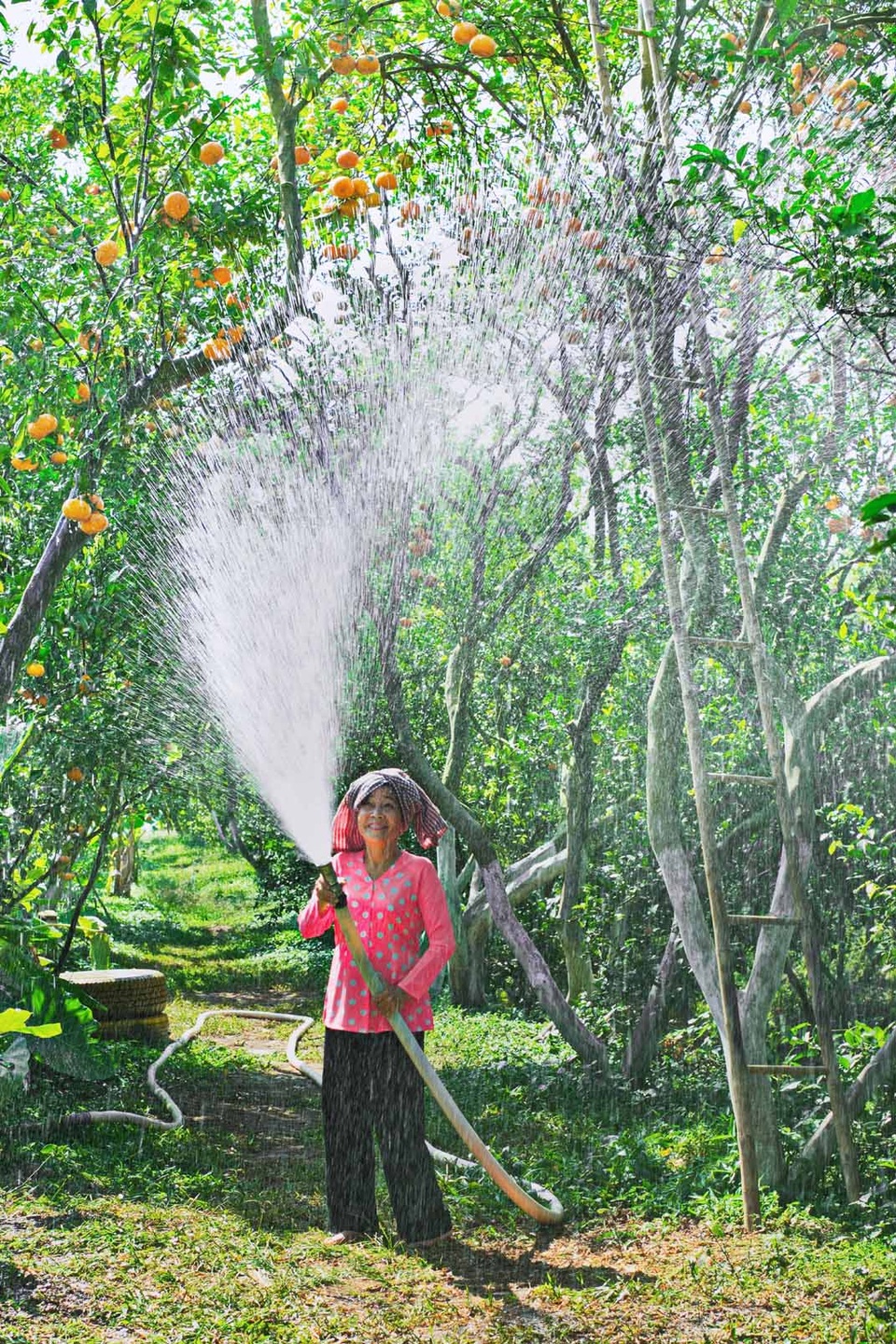 Những khoảnh khắc đẹp đón xuân - 1 Những khoảnh khắc đẹp đón xuân - 1