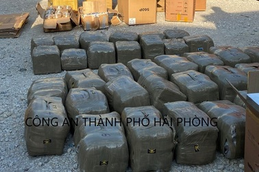 Hơn 600 kg chất ma túy "ẩn mình" trong container gửi về từ Singapore