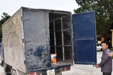 Lái xe đi dọc quốc lộ trộm đồ của xe tải dừng nghỉ bên đường