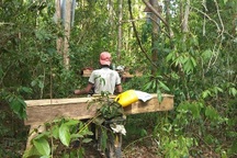 Đề nghị điều tra vụ "đội giá" thiết bị tại Chi cục Kiểm lâm Gia Lai