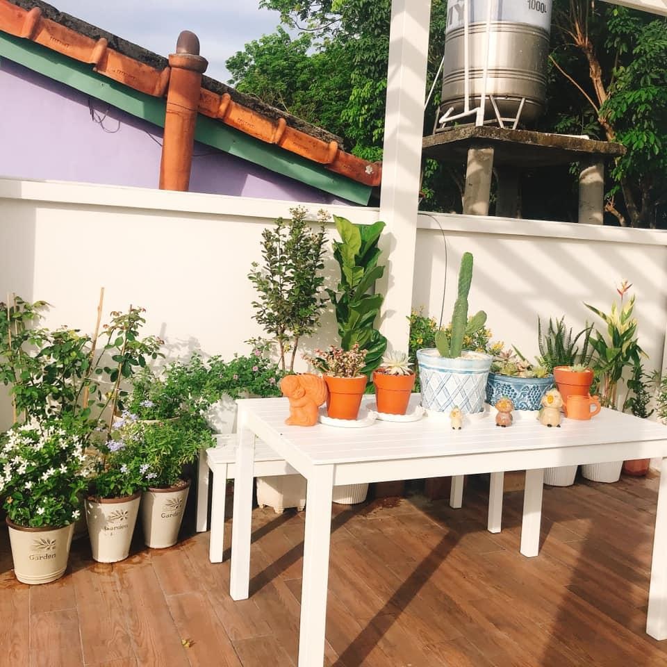 Biệt thự nhà vườn ngập tràn các loại hoa của gia đình ở Bình Dương - 6 Biệt thự nhà vườn ngập tràn các loại hoa của gia đình ở Bình Dương - 6