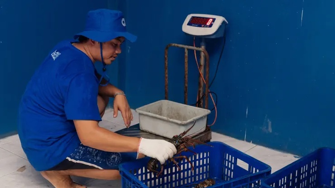 Cô gái 28 tuổi khởi nghiệp với 16 triệu đồng, xây dựng startup triệu đô - 3 Cô gái 28 tuổi khởi nghiệp với 16 triệu đồng, xây dựng startup triệu đô - 3