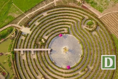 Cận cảnh mê cung khổng lồ bằng cây hoa ở Hà Nội