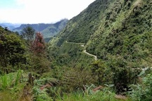 Cuộc săn lùng bí ẩn trong đêm trừ tịch