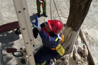 Xem lính cứu hoả tương lai phô diễn khả năng leo nhà cao tầng